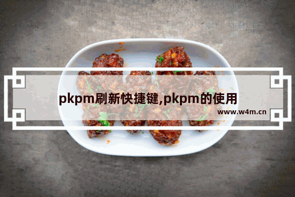 pkpm刷新快捷键,pkpm的使用