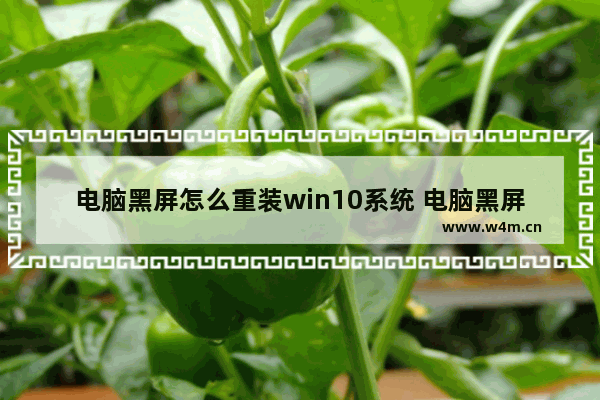 电脑黑屏怎么重装win10系统 电脑黑屏可如何重新安装Win10系统