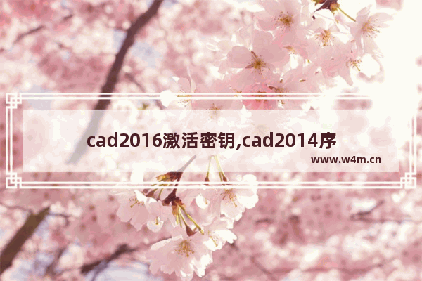 cad2016激活密钥,cad2014序列号和密钥,教您激活cad2014密钥