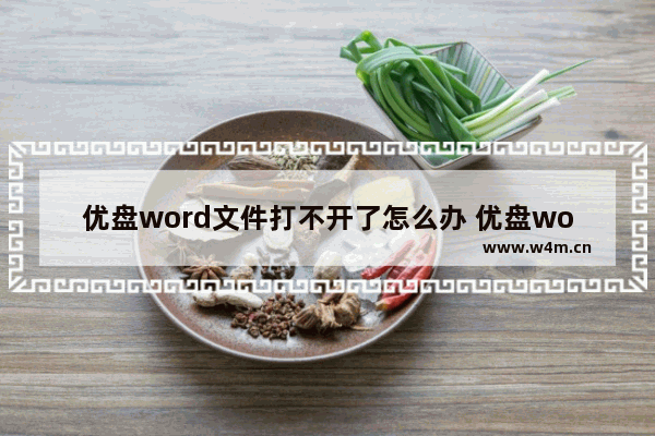 优盘word文件打不开了怎么办 优盘word文档无法打开解决方案