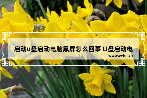 启动u盘启动电脑黑屏怎么回事 U盘启动电脑黑屏怎么办