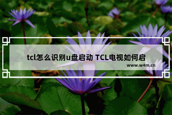 tcl怎么识别u盘启动 TCL电视如何启动U盘系统