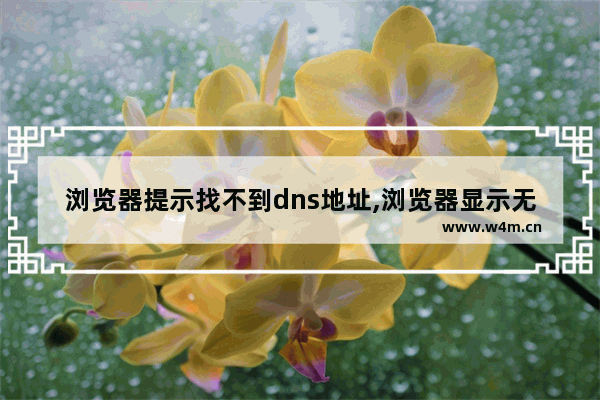 浏览器提示找不到dns地址,浏览器显示无法找到dns地址