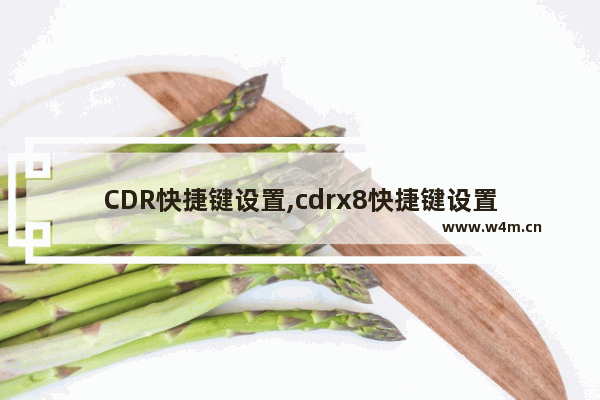 CDR快捷键设置,cdrx8快捷键设置