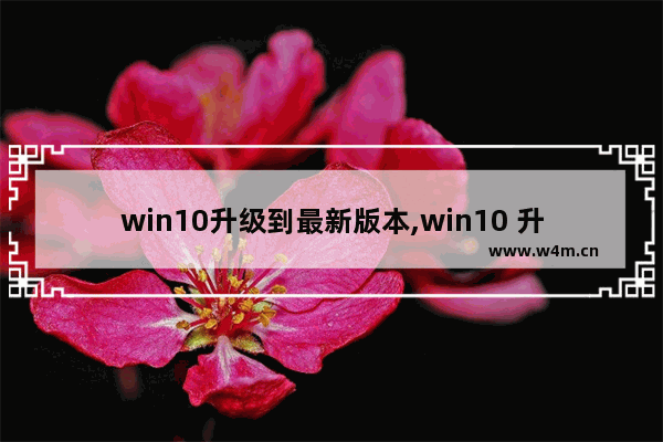 win10升级到最新版本,win10 升级版本