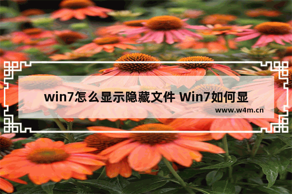 win7怎么显示隐藏文件 Win7如何显示隐藏文件？