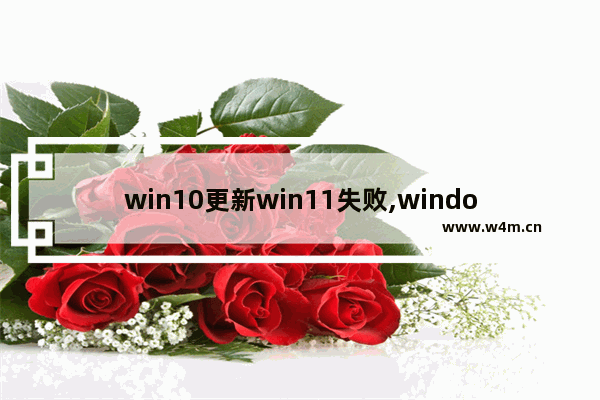 win10更新win11失败,windows11更新遇到错误怎么解决