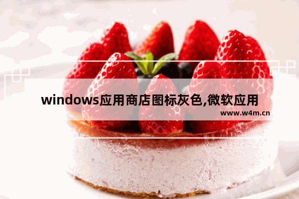 windows应用商店图标灰色,微软应用商店灰色