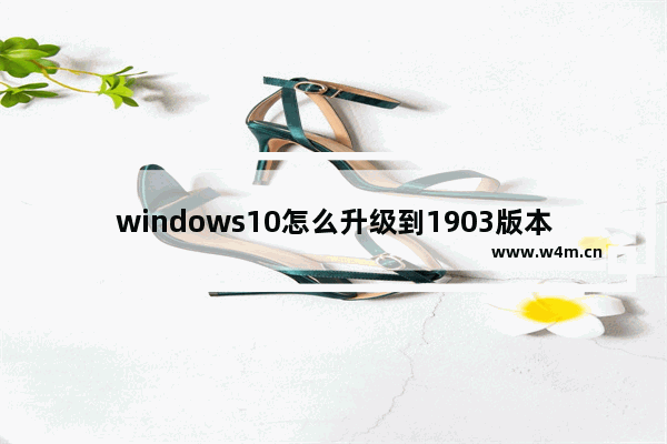 windows10怎么升级到1903版本,win101809怎么升级到1903