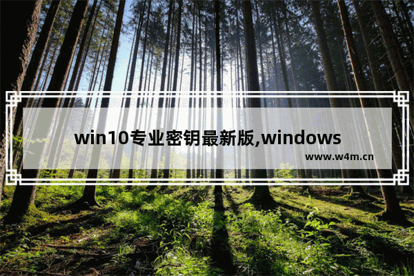 win10专业密钥最新版,windows10专业版密钥最新