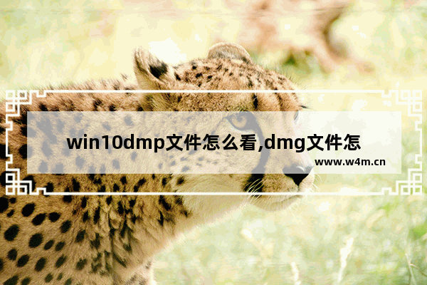 win10dmp文件怎么看,dmg文件怎么在win10打开