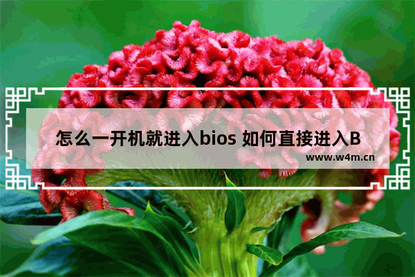 怎么一开机就进入bios 如何直接进入BIOS设置界面