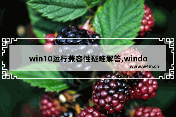 win10运行兼容性疑难解答,windows10兼容性问题