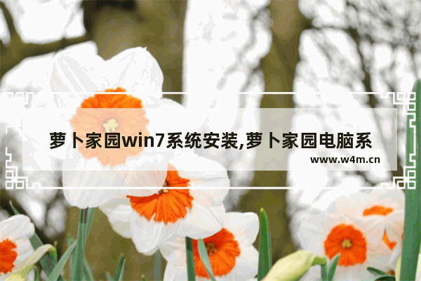 萝卜家园win7系统安装,萝卜家园电脑系统