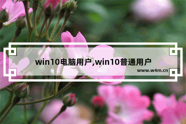 win10电脑用户,win10普通用户