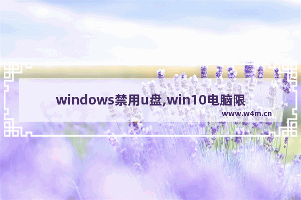 windows禁用u盘,win10电脑限制u盘怎么解除