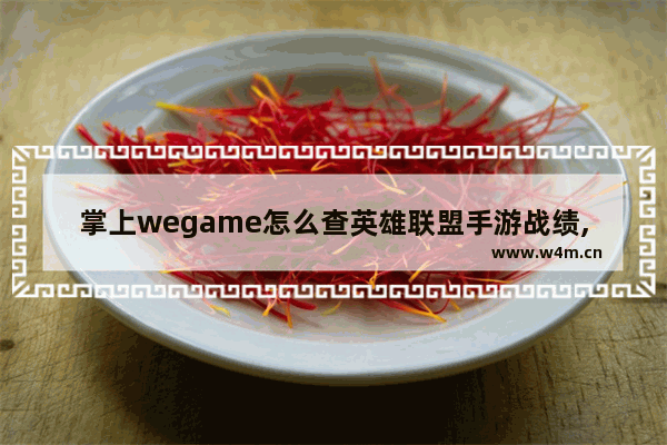 掌上wegame怎么查英雄联盟手游战绩,掌上wegame怎么看lol手游战绩