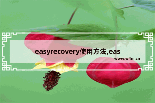 easyrecovery使用方法,easyrecovery可对分布在硬盘上