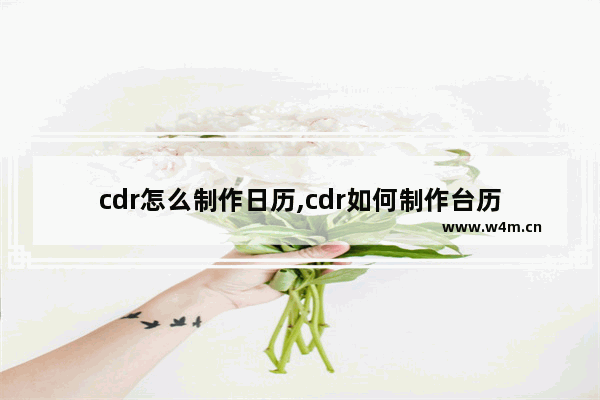 cdr怎么制作日历,cdr如何制作台历