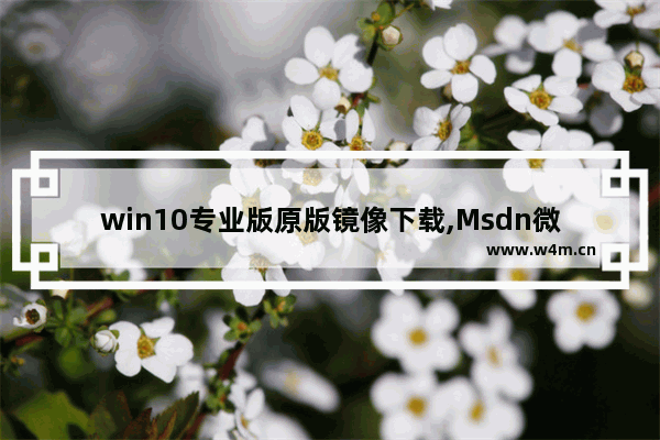 win10专业版原版镜像下载,Msdn微软原版Win10镜像