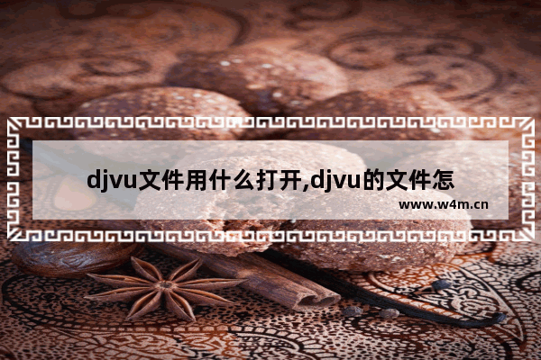 djvu文件用什么打开,djvu的文件怎么打开