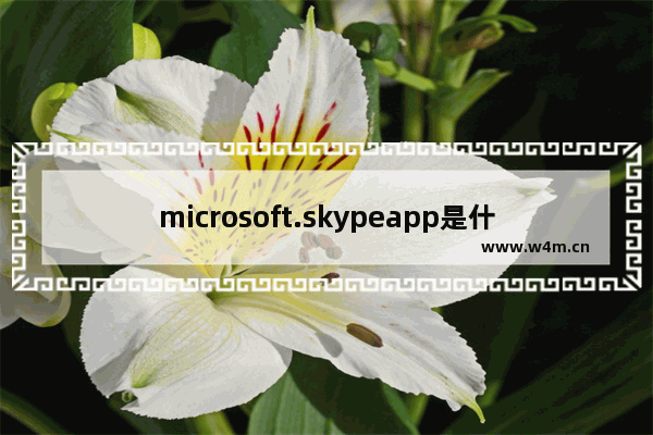 microsoft.skypeapp是什么,windows skype作用