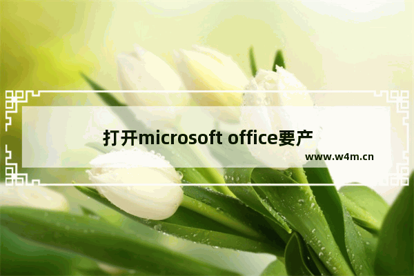 打开microsoft office要产品密钥,office的产品密钥怎么找2019