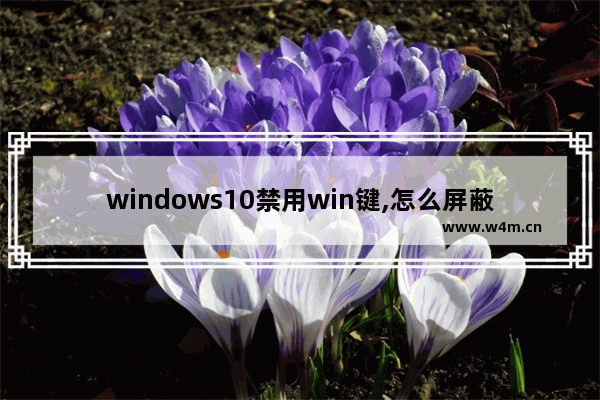 windows10禁用win键,怎么屏蔽windows键