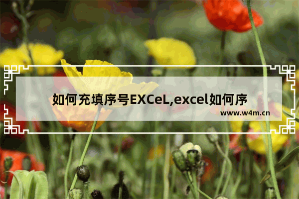 如何充填序号EXCeL,excel如何序号自动填充