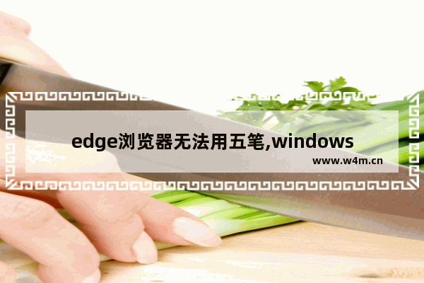 edge浏览器无法用五笔,windows10五笔输入法不能用