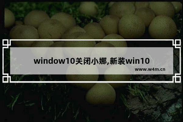 window10关闭小娜,新装win10跳过小娜