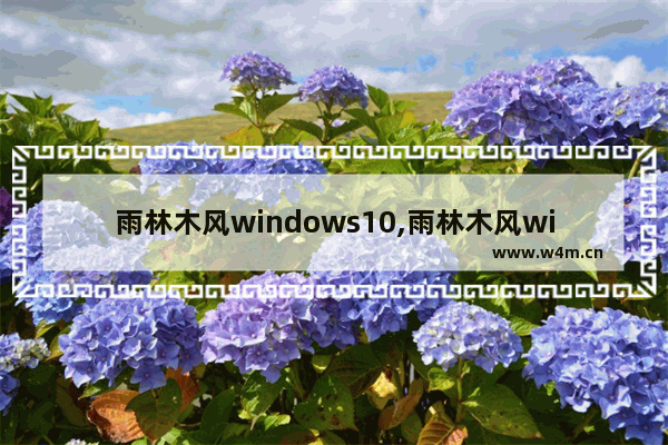 雨林木风windows10,雨林木风win10安装教程视频