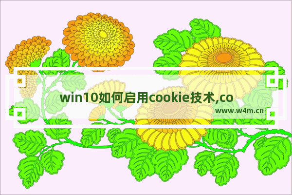 win10如何启用cookie技术,cookie功能被禁用怎么开启