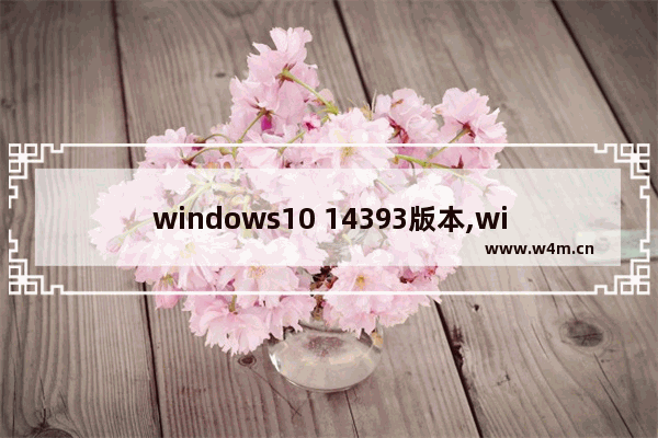 windows10 14393版本,win10内部版本19043.928