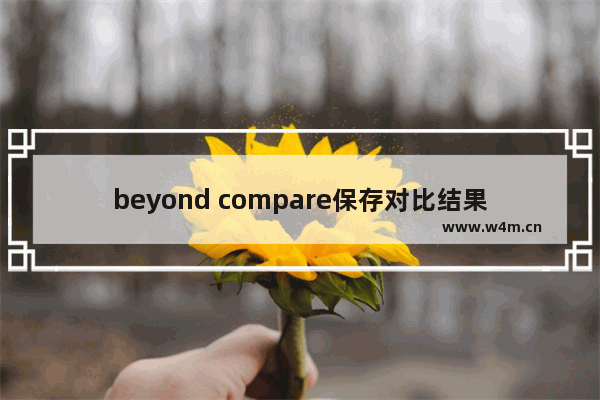 beyond compare保存对比结果,beyond compare忽略格式差异