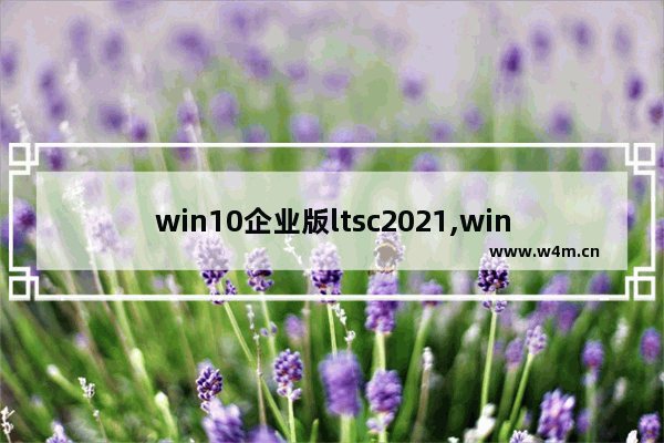 win10企业版ltsc2021,win10 enterprise ltsc2019