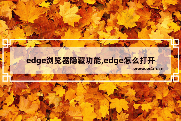 edge浏览器隐藏功能,edge怎么打开扩展程序