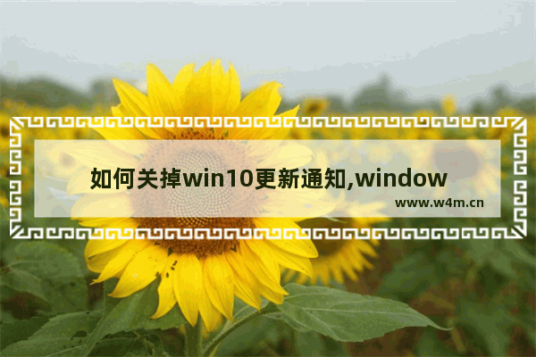 如何关掉win10更新通知,windows10怎么取消升级