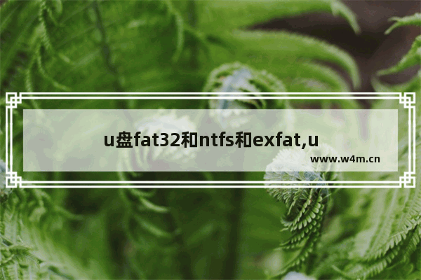 u盘fat32和ntfs和exfat,u盘的fat32格式和NTFS格式