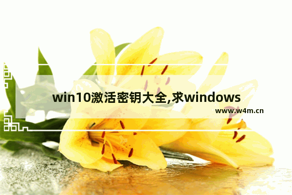 win10激活密钥大全,求windows10专业版激活密钥