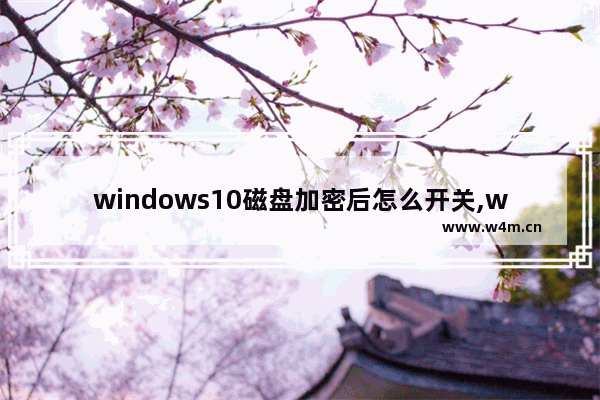 windows10磁盘加密后怎么开关,win10系统磁盘加密怎么解除