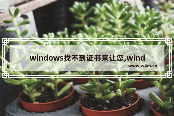 windows找不到证书来让您,windows 找不到证书让您登陆到网络怎么办