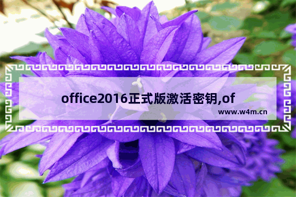 office2016正式版激活密钥,office2017永久激活密钥