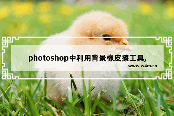 photoshop中利用背景橡皮擦工具,pscc橡皮擦工具详解