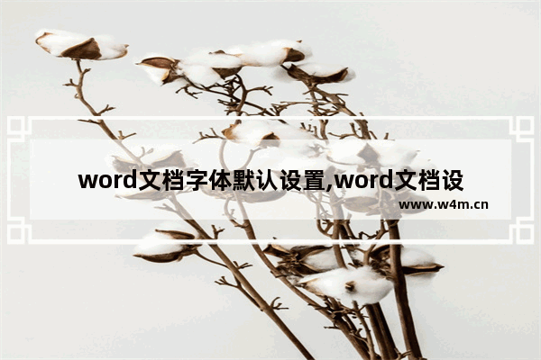 word文档字体默认设置,word文档设置字体格式