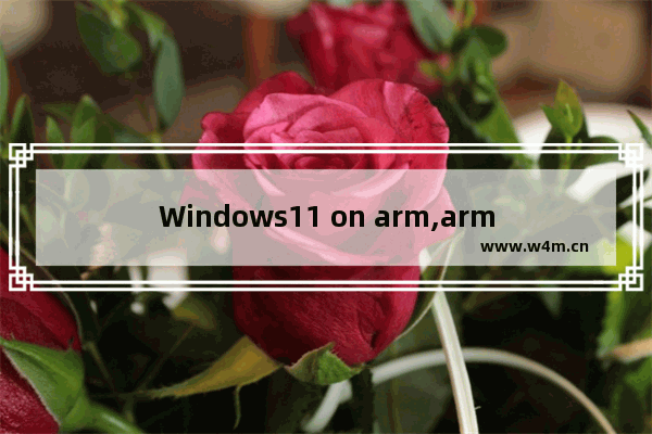 Windows11 on arm,arm使用的各种工作模式和工作状态