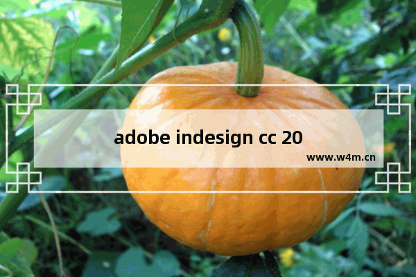 adobe indesign cc 2018,adobe audition cc2019使用教程