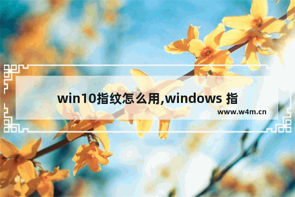 win10指纹怎么用,windows 指纹