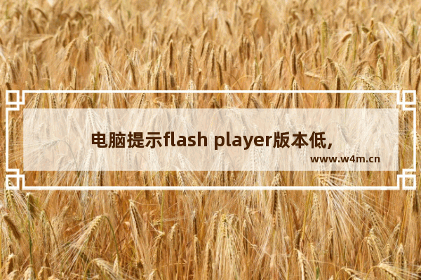 电脑提示flash player版本低,你的flash player版本过低