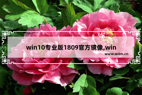 win10专业版1809官方镜像,win10版本18362